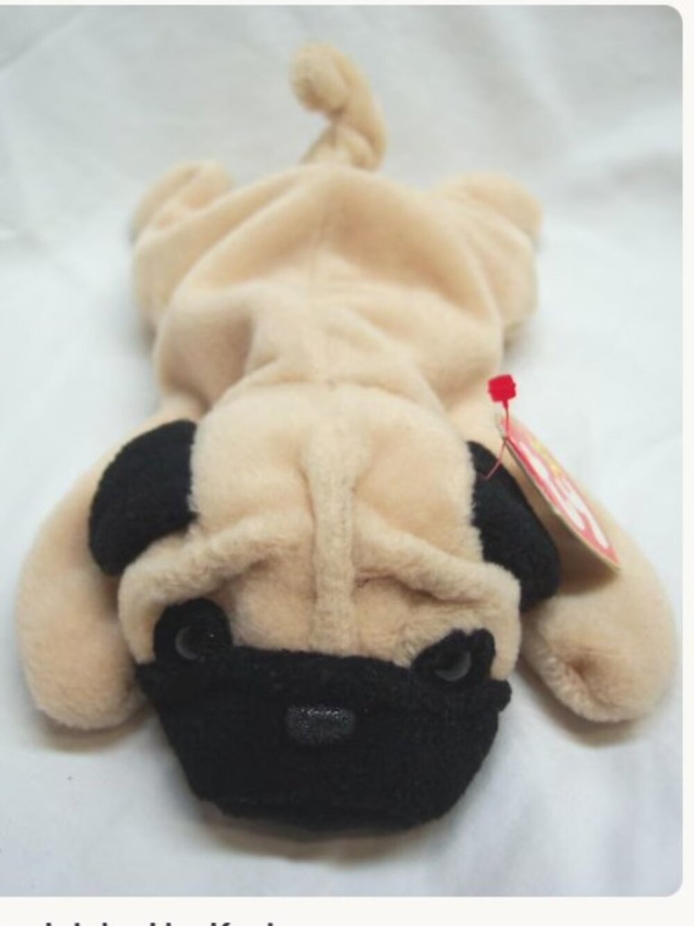 Beanie Baby - Pugsly